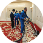 地毯清洗 地毯清洗