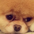 心明如月