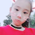 張曉鳳