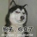 液壓小白白